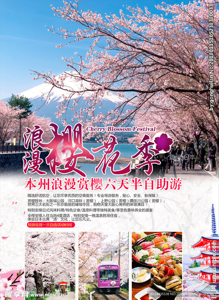 本州樱花季