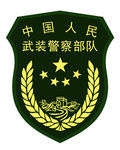 中国人民武装警察部队16式臂章