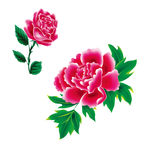 免抠红色大花PSD素材