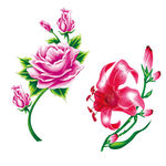 花PSD免抠素材