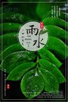 简洁二十四节气雨水海报