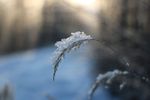 雪景
