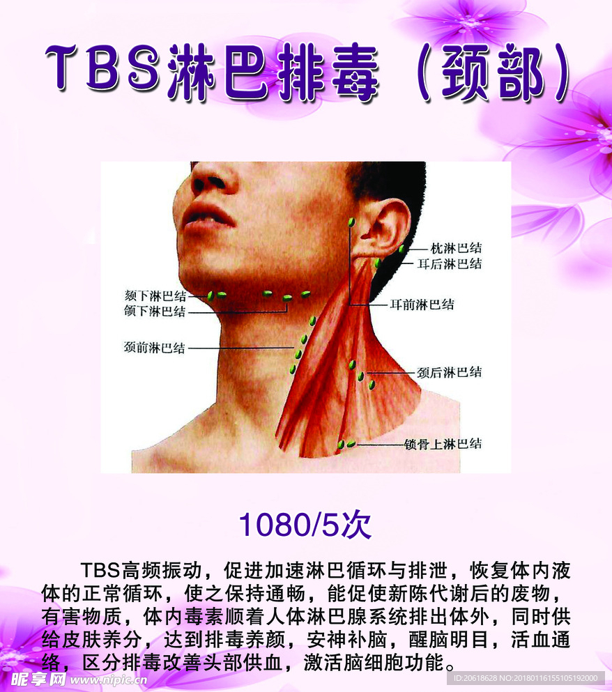 TBS淋巴排毒