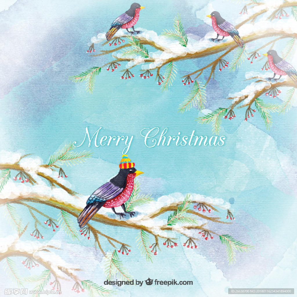 圣诞水彩鸟背景