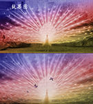 梦幻孔雀开屏蝴蝶高清视频背景