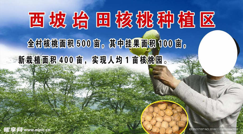 坮田核桃种植