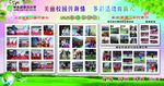 校园群星璀璨展板