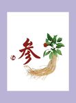 人参