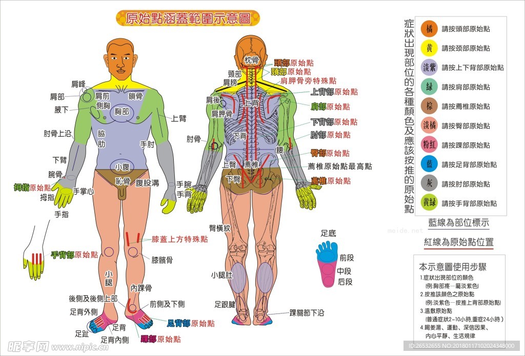 刮痧示意图