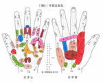 刮痧示意图