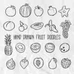 手绘水果插图