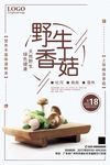 美食野生香菇海报