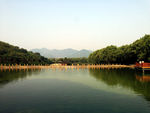 杭州野生动物园  湖水