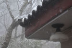 黄山雪花