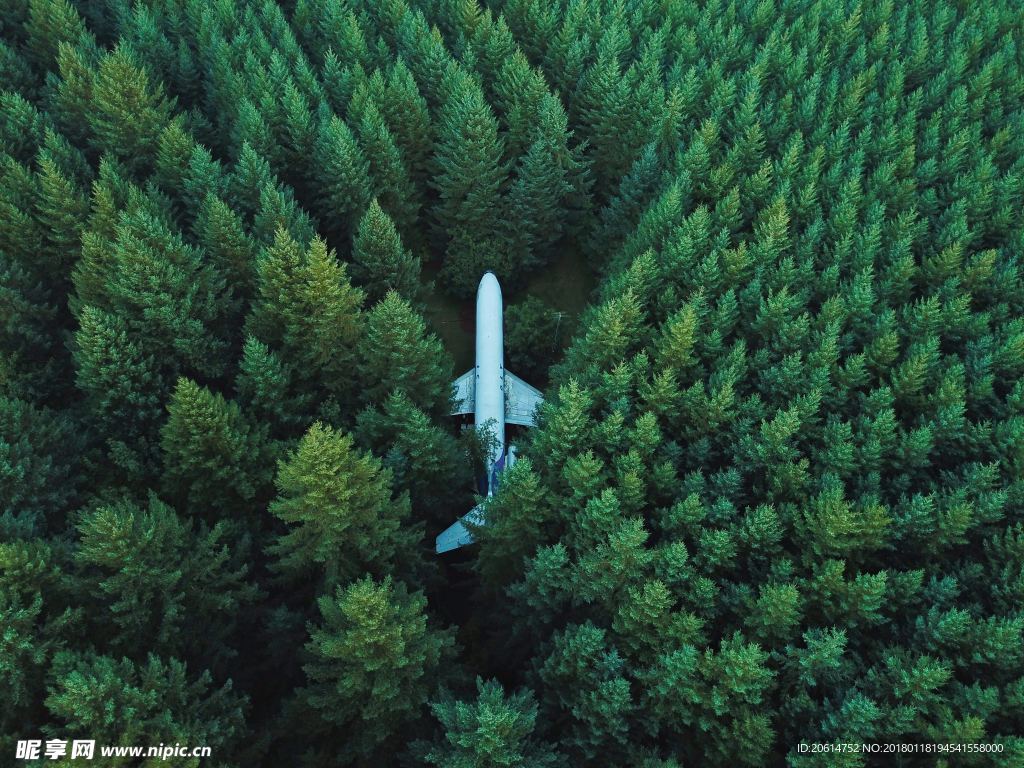 树林风景