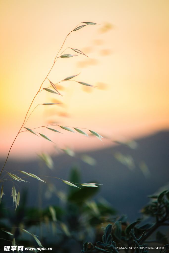 夕阳美景