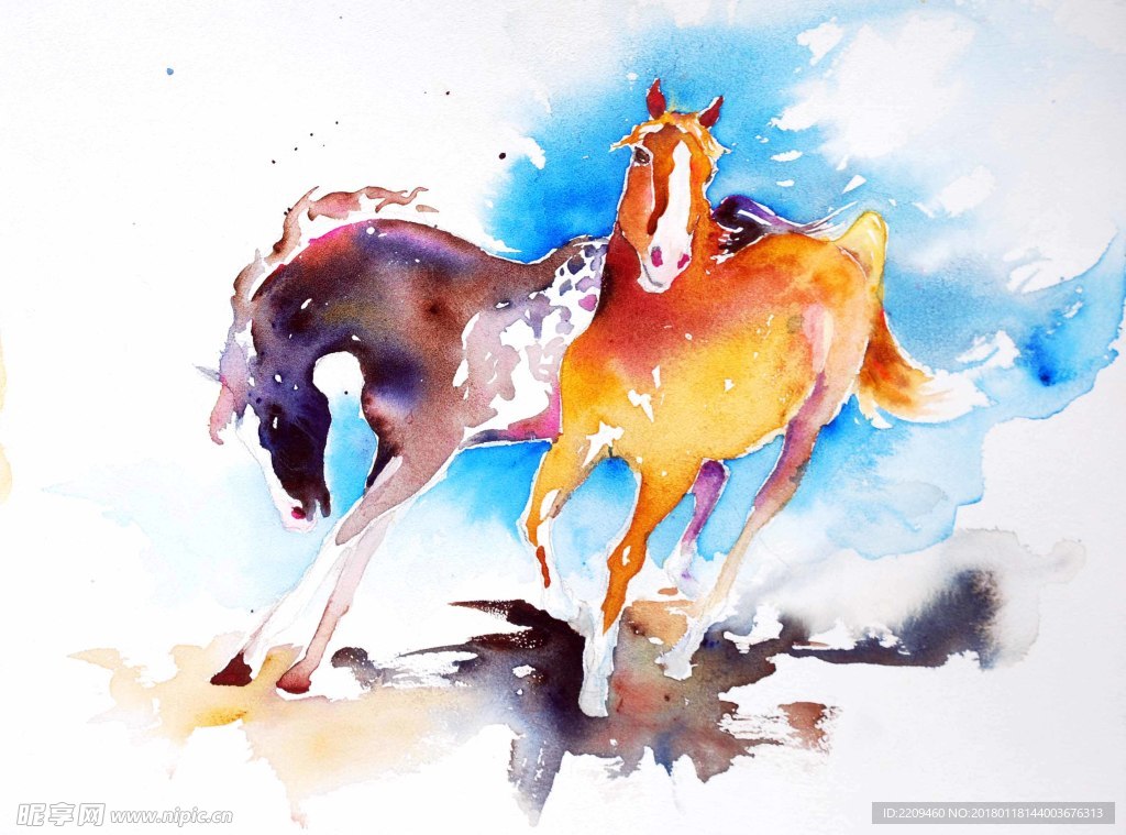水彩马