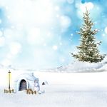 雪景图片