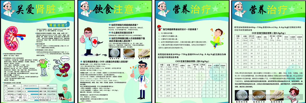 肾病知识宣传