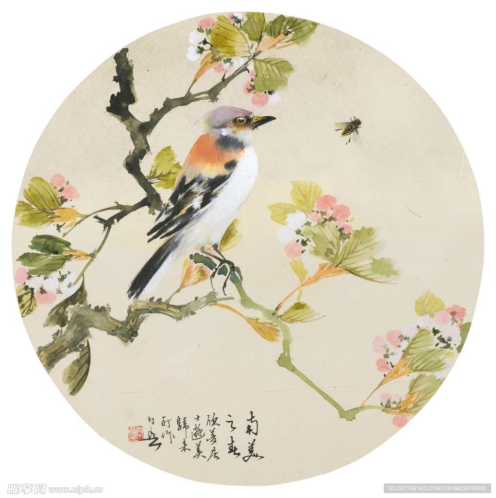 花鸟