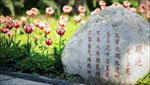 玉兰花石刻