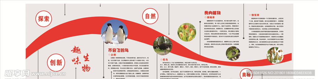 生物 趣味生物