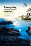 房地产海报