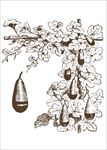 钢笔画佛教画面图片