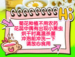 菊花提示