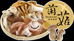 菌菇异形吊牌