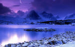 唯美雪景