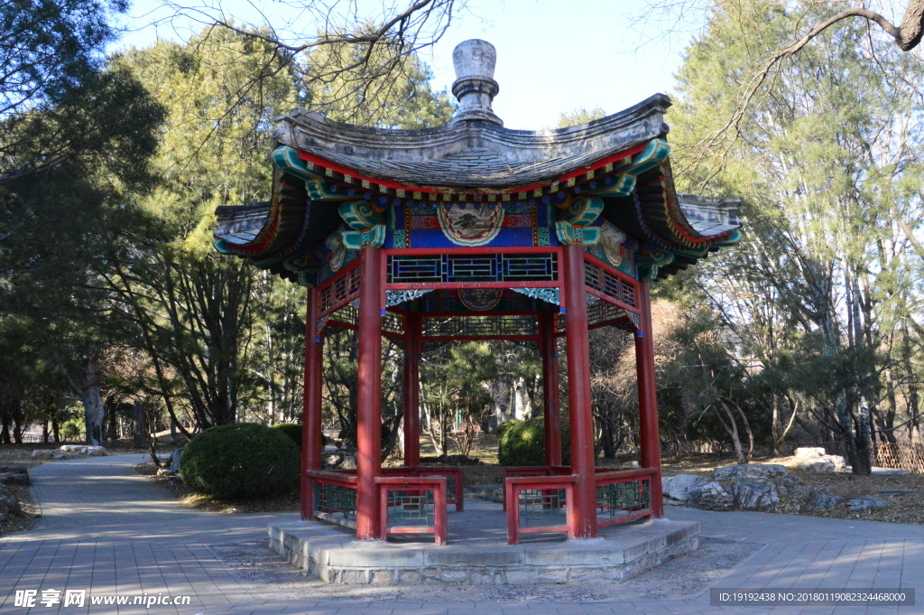 冬日植物园