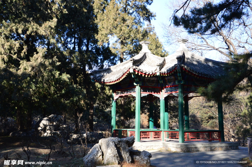 冬日植物园