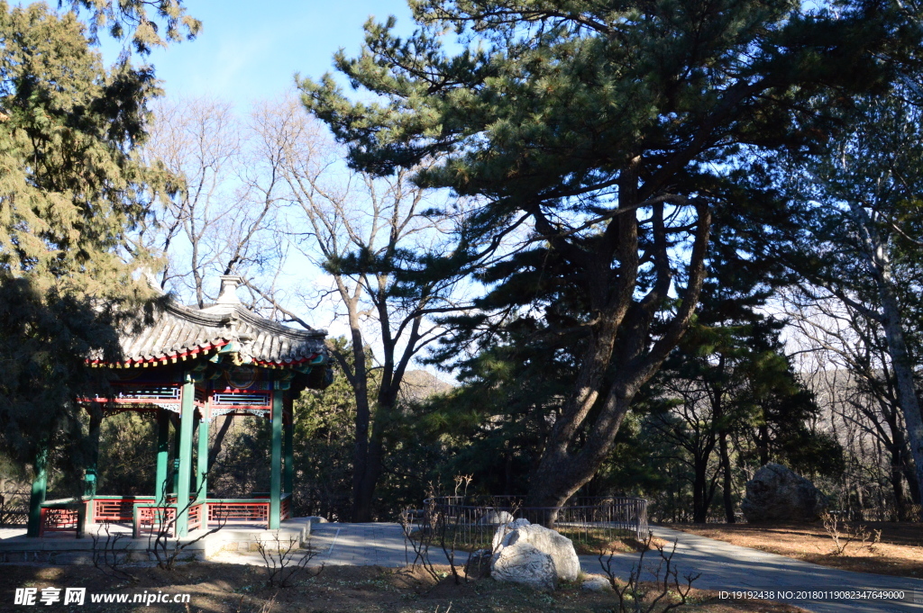 冬日植物园
