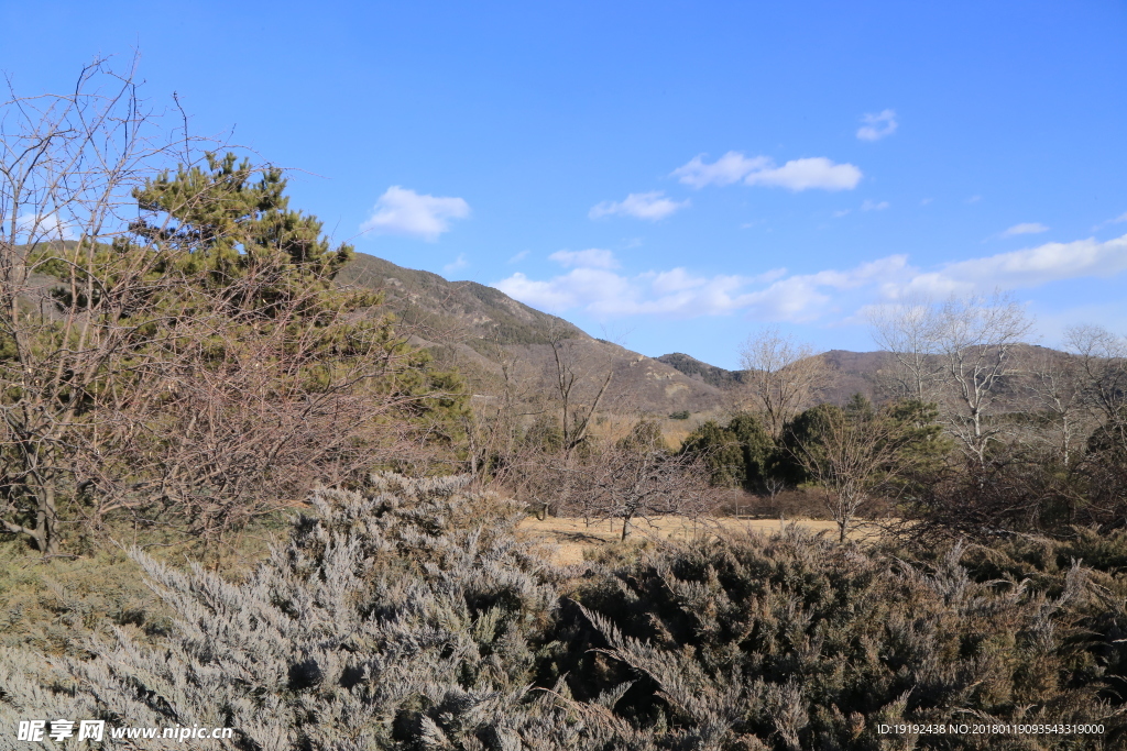 冬日植物园