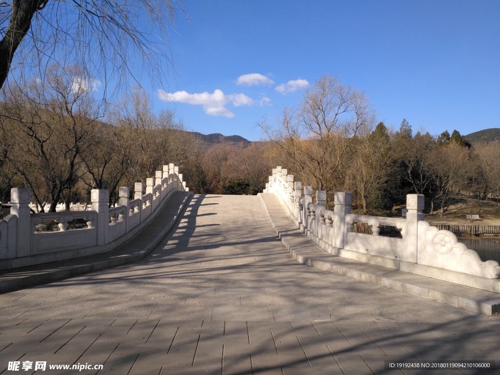 冬日植物园