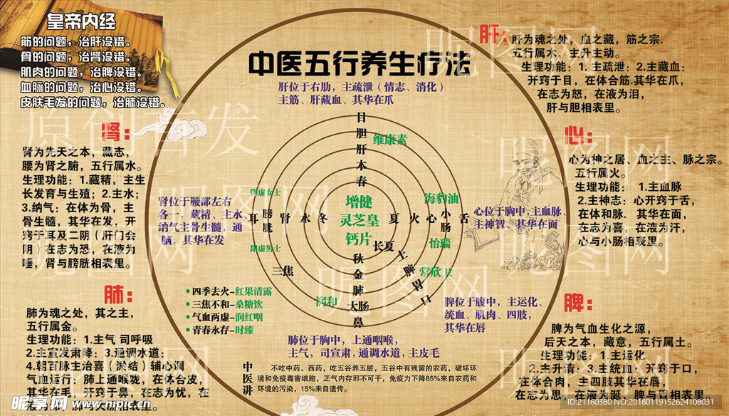 中医五行养生疗法