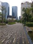 绿化小路