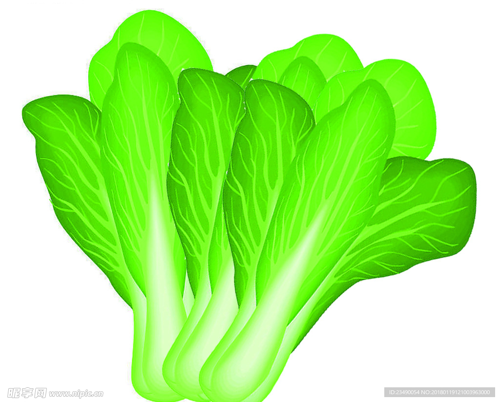 蔬菜