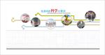 校园文化走廊文化