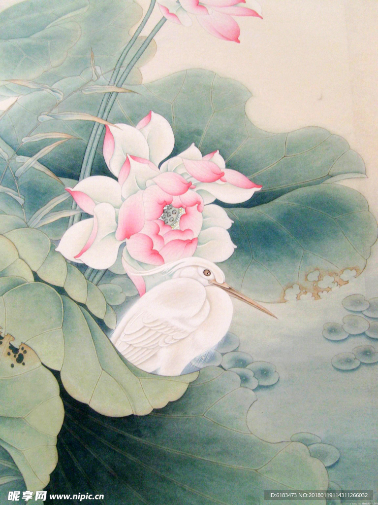 工笔画荷花
