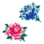 高清花PSD免抠
