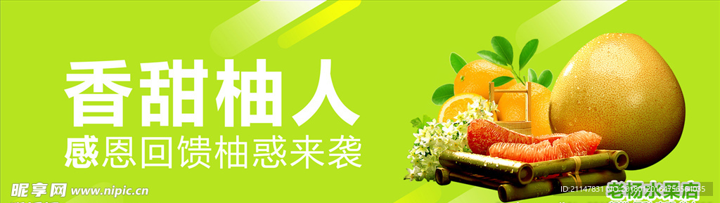 柚子海报