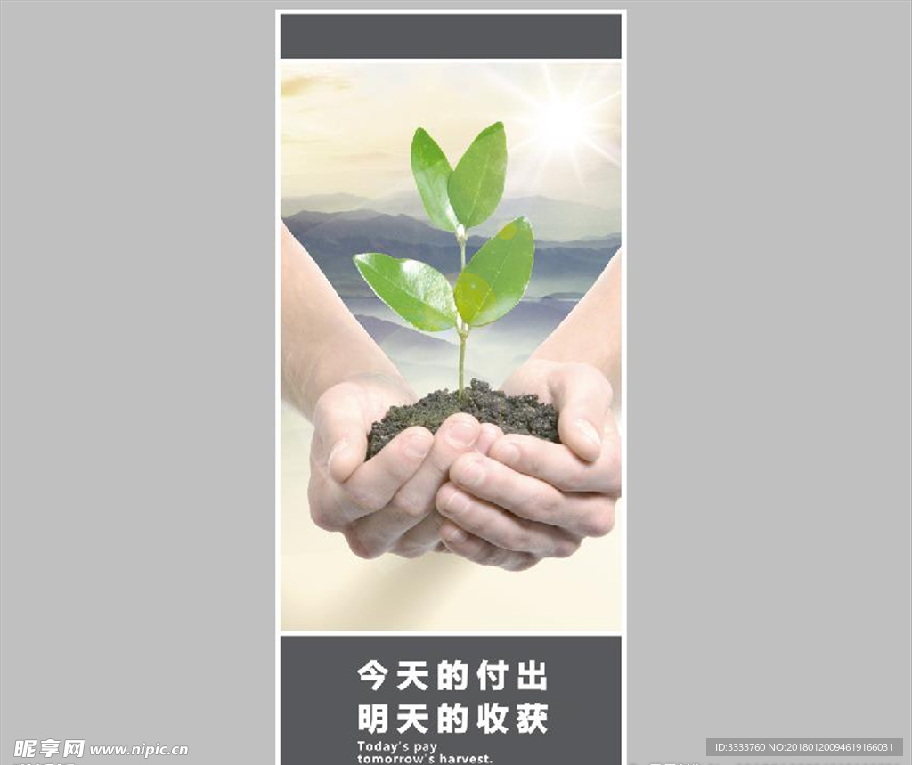 企业文化