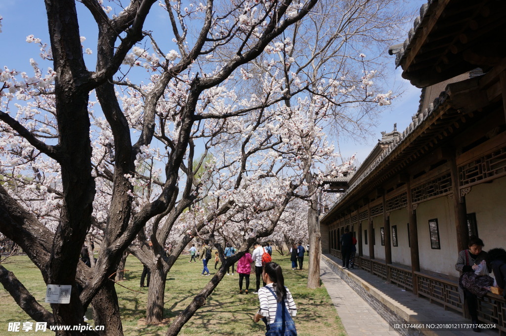 梅花公园