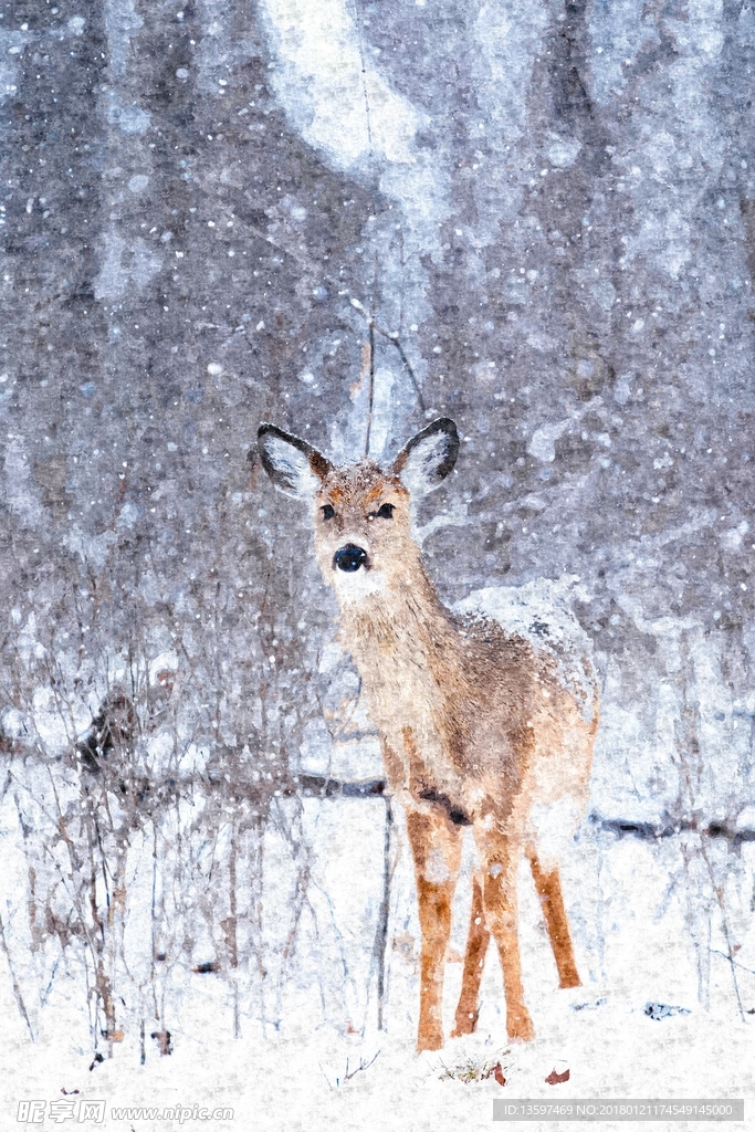 油画