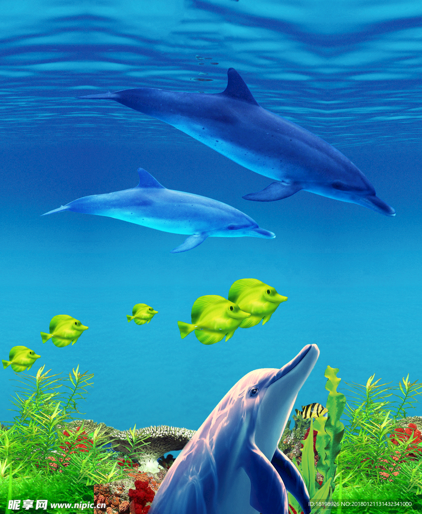 海底世界