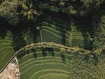 梯田风景图片
