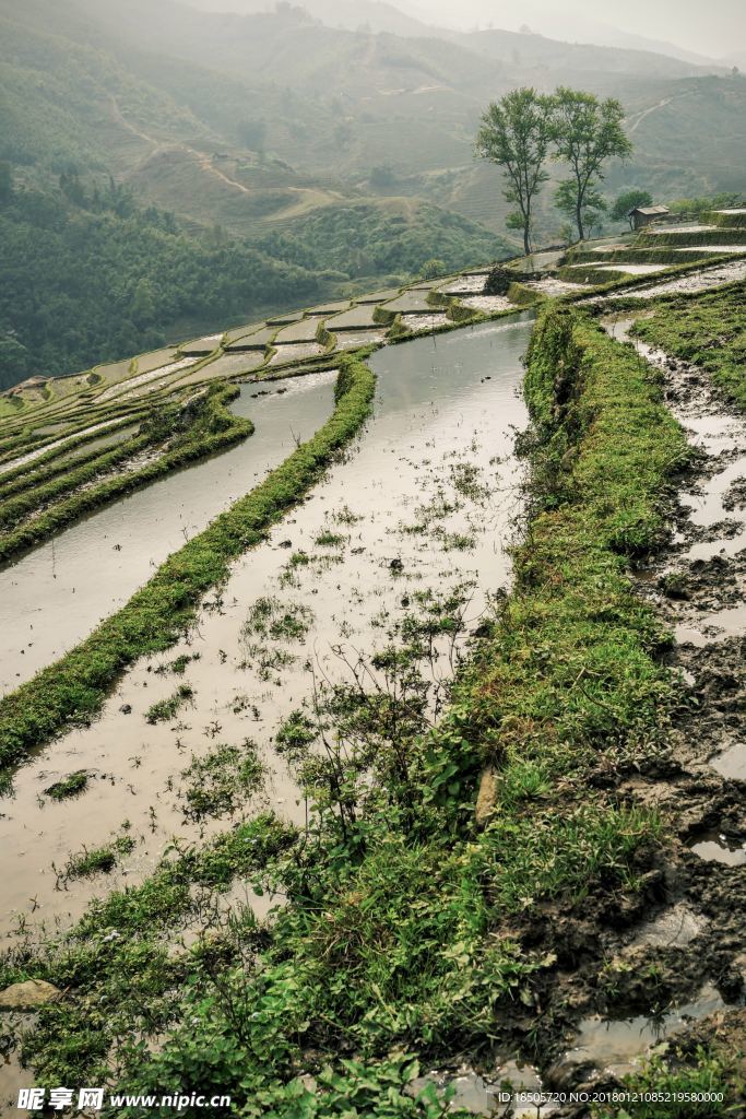 梯田风景图片