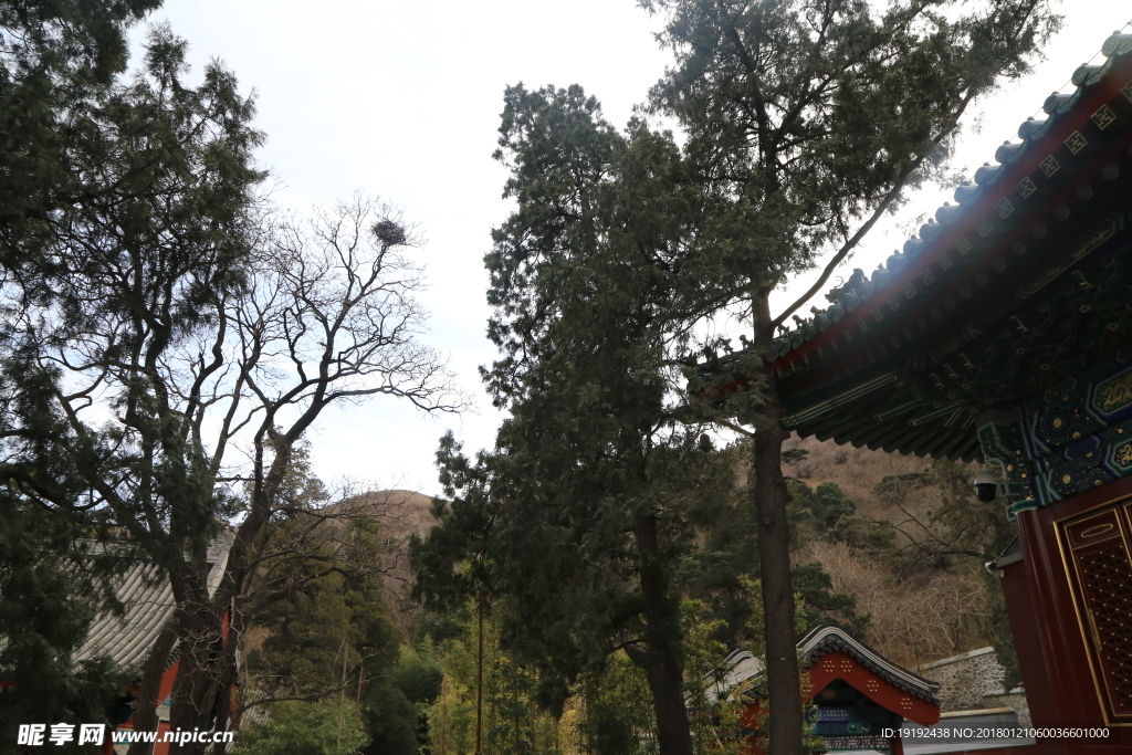 香山寺风景